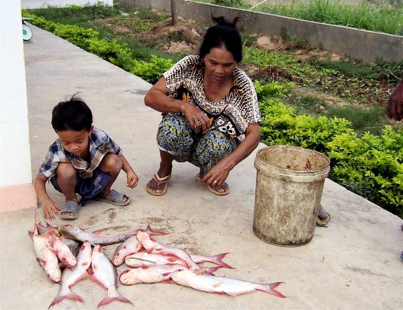 Woman and son in Cambodia prepare fish to sell