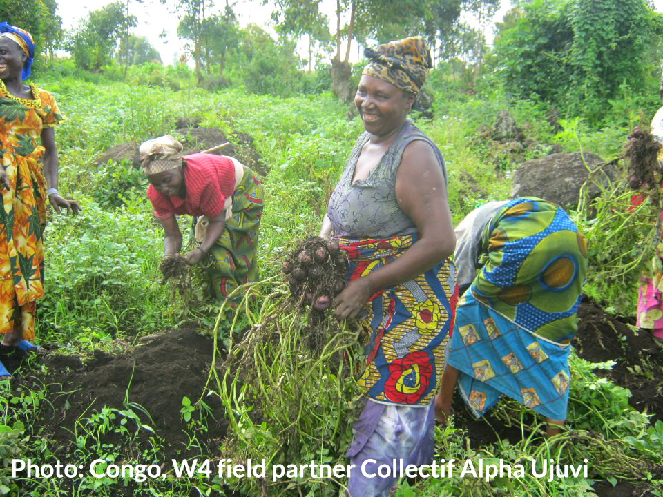 Congolese women recolt Alpha Ujuvi