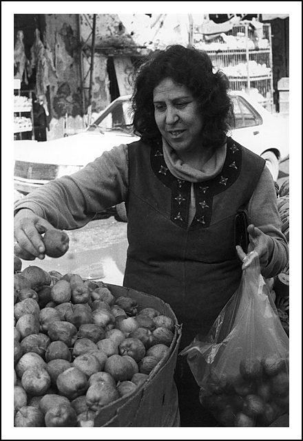 women's history, palestine, displacement, refugee, rosemary sayigh